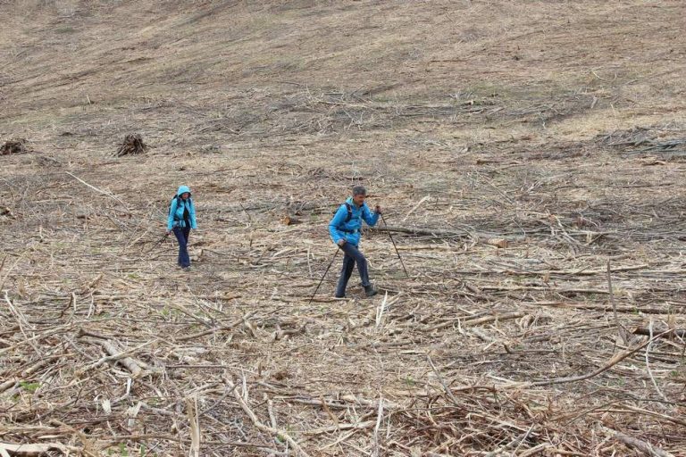 Pročitajte više o članku Rastušje-Čardak 11.4.2021.