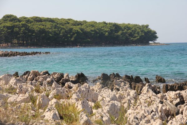 Pročitajte više o članku Proba – velika slika 4