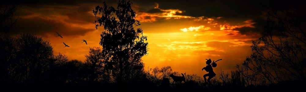 User banner image